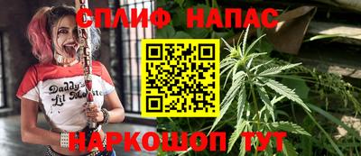 сатива Будённовск