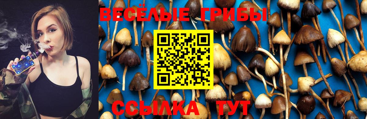 наркошоп  Галлюциногенные грибы Psilocybine cubensis  Вход с VPN  Надым  Псилоцибиновые грибы прущие грибы 